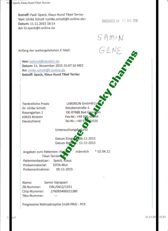 House of Lucky Charms.de