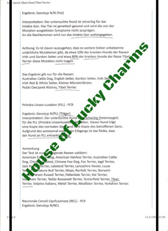 House of Lucky Charms.de