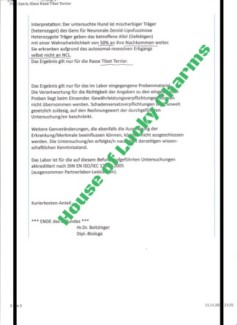 House of Lucky Charms