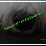 House of Lucky Charms